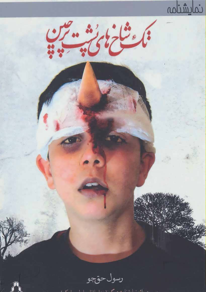 کتاب تک شاخ های پشت پرچین | انتشارات افراز