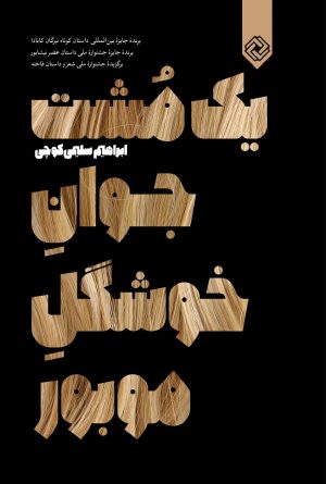 کتاب یک مشت جوان خوشگل موبور | انتشارات خاموش