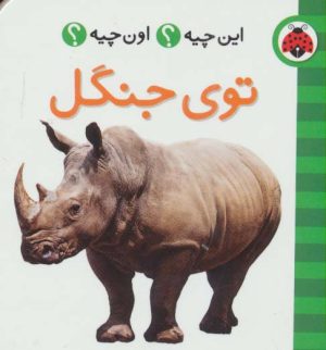 کتاب توی جنگل (2زبانه) | انتشارات شهر قلم