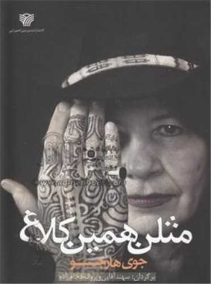 کتاب مثلن همین کلاغ | انتشارات سرزمین اهورایی