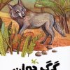 کتاب گرگ جوان | انتشارات کانون پرورش فکری کودکان و نوجوانان