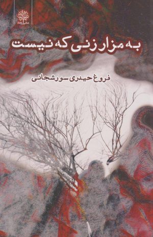 کتاب به مزار زنی که نیست | انتشارات ایجاز