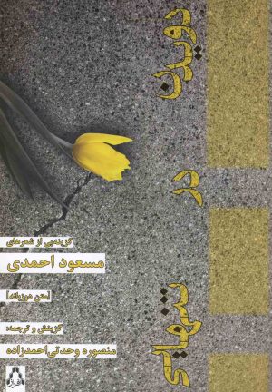 کتاب دویدن در تنهایی | انتشارات افراز
