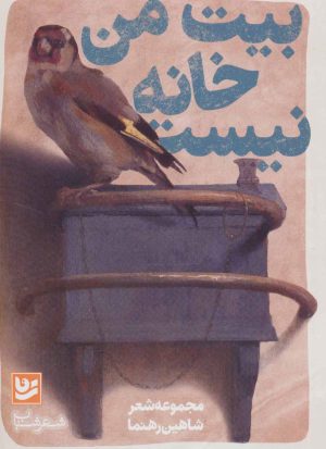 کتاب بیت من خانه نیست | انتشارات نشر گویا