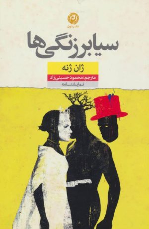 کتاب سیابرزنگی ها | انتشارات نشر نون