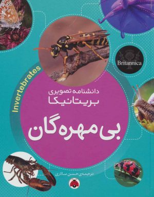 کتاب بی مهره گان | انتشارات شهر قلم