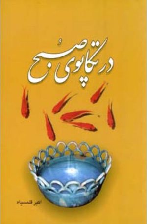 کتاب در تکاپوی صبح | انتشارات اطلاعات