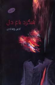 کتاب شبگرد باغ دل | انتشارات البرز