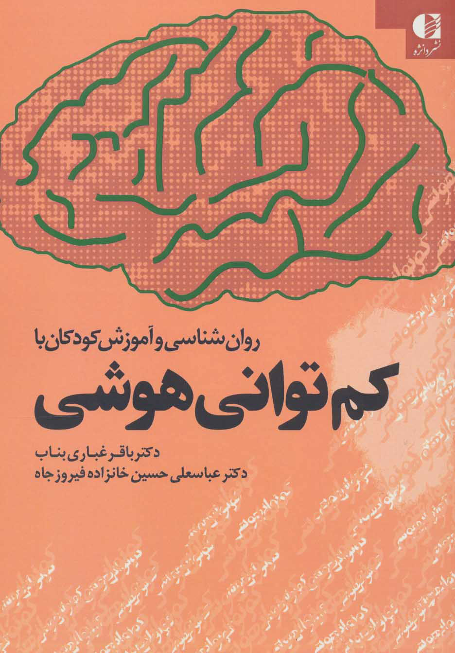 کتاب روان شناسی و آموزش کودکان با کم توانی هوشی | انتشارات دانژه