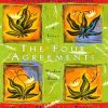 کتاب The Four Agreements | انتشارات آی آی کتاب