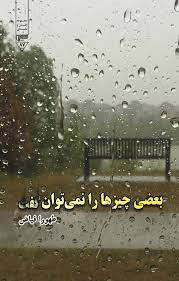 کتاب بعضی چیزها را نمی توان گفت | انتشارات گیوا
