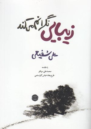 کتاب زیبایی نگرانم می کند | انتشارات آرادمان