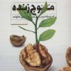 کتاب موج زنده | انتشارات مهرستان