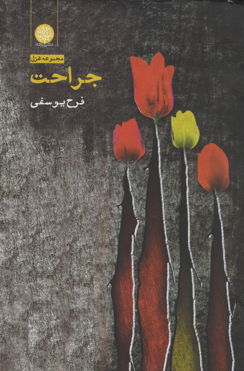 کتاب جراحت | انتشارات ایجاز