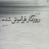 کتاب روزگار فراموش شده | انتشارات شهرستان ادب