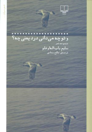 کتاب و تو چه می دانی درد یعنی چه؟ | انتشارات نشر چشمه