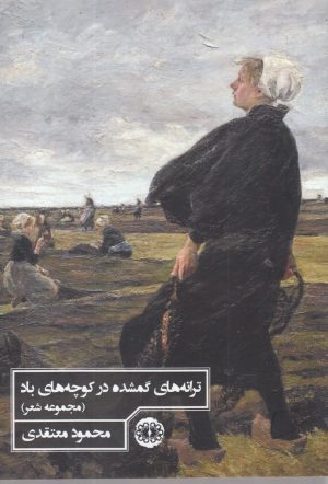 کتاب ترانه های گمشده درکوچه های باد | انتشارات آرادمان