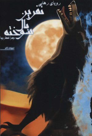 کتاب نفرین بال سوخته 3 | انتشارات کتابسرای تندیس