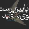 کتاب پاییز پرستوی سفید | انتشارات خاموش