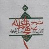 کتاب شرح نهج البلاغه 13 (شومیز) | انتشارات نیستان