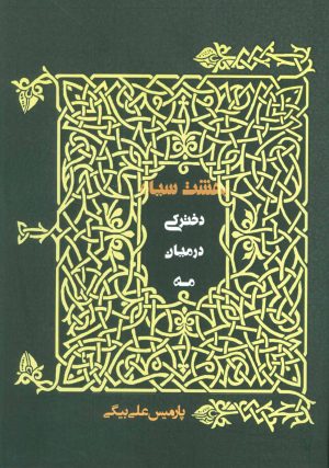 کتاب دخترکی در میان مه | انتشارات روزنه