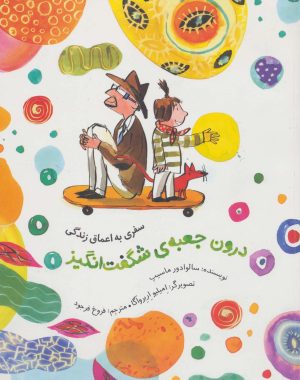 کتاب درون جعبه ی شگفت انگیز | انتشارات فاطمی