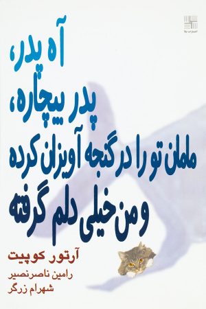 کتاب آه پدر پدر بیچاره | انتشارات نیلا
