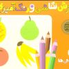 کتاب آموزش نقاشی و رنگ آمیزی 3 (روییدنی ها) | انتشارات قدیانی