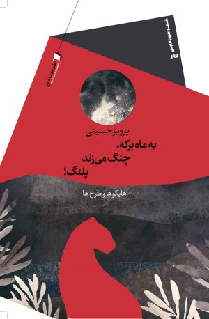 کتاب به ماه برکه، چنگ می زند پلنگ! | انتشارات سیب سرخ