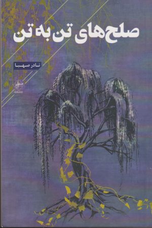 کتاب صلح های تن به تن | انتشارات فصل پنجم