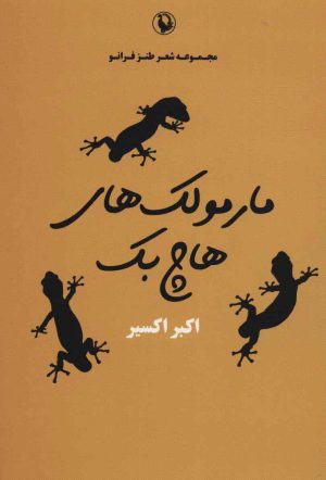 کتاب مارمولک های هاچ بک | انتشارات مروارید