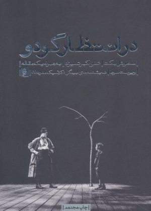 کتاب در انتظار گودو | انتشارات بیدگل