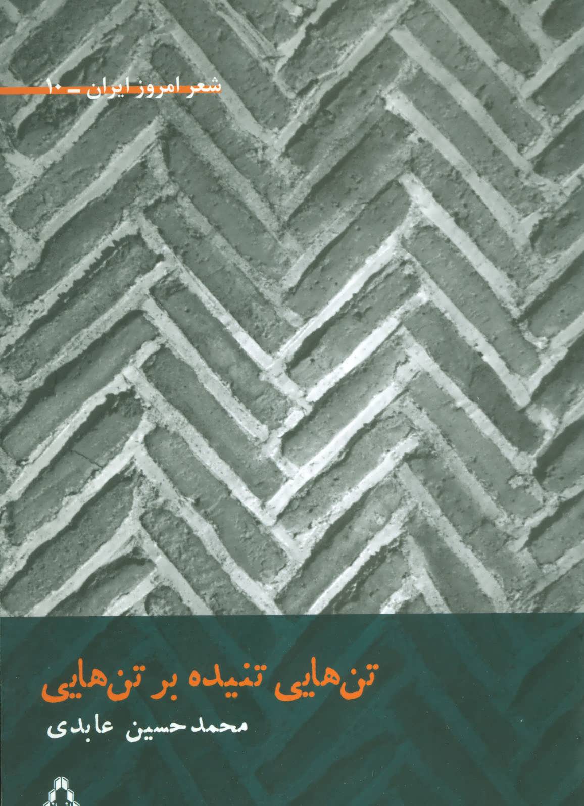 کتاب تن هایی تنیده بر تن هایی | انتشارات افراز