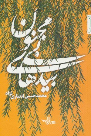 کتاب بیدهای بی مجنون | انتشارات شهرستان ادب