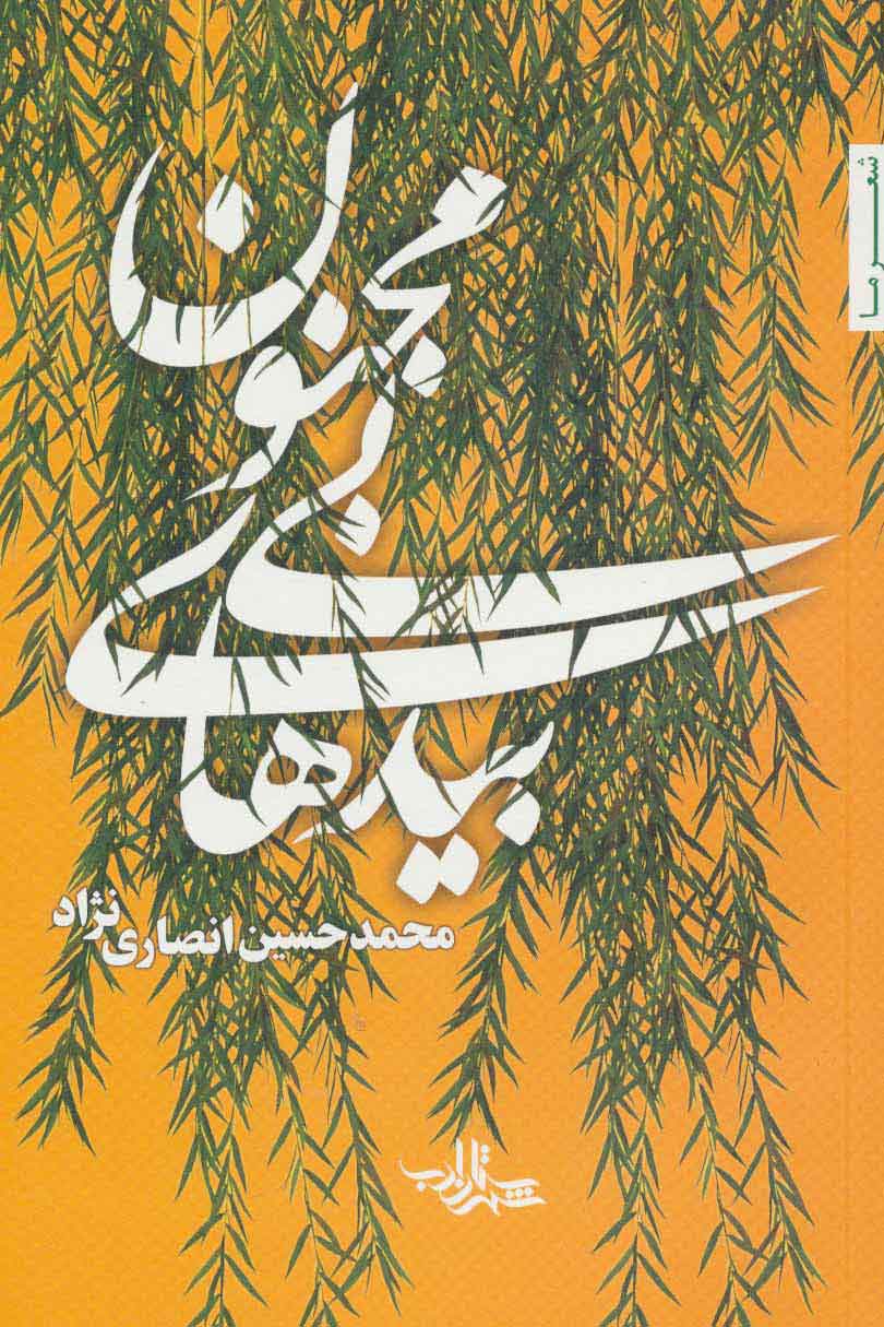 کتاب بیدهای بی مجنون | انتشارات شهرستان ادب