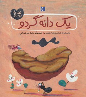 کتاب یک دانه گردو | انتشارات محراب قلم