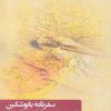 کتاب سفرنامه بابوشکین | انتشارات نگارستان اندیشه
