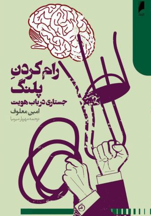 کتاب رام کردن پلنگ | انتشارات دنیای اقتصاد