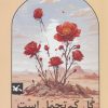کتاب گل کم تحمل است | انتشارات کانون پرورش فکری کودکان و نوجوانان