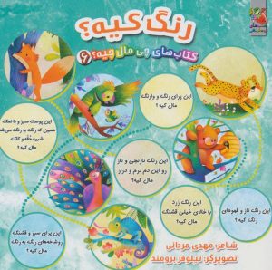 کتاب رنگ کیه؟ | انتشارات سایه گستر