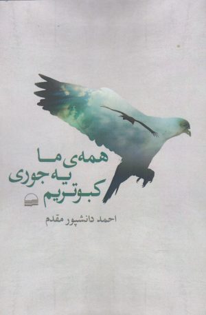 کتاب همه ی ما یه جوری کبوتریم | انتشارات کویر