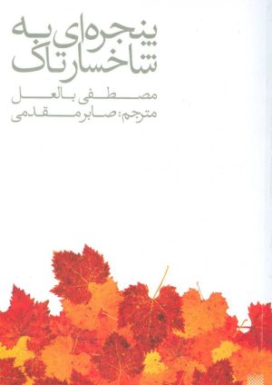 کتاب پنجره ای به شاخسار تاک | انتشارات پیدایش