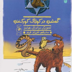 کتاب گمشده در کولاک کور کننده | انتشارات نشر چشمه