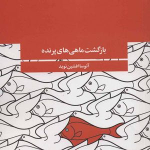 کتاب بازگشت ماهی های پرنده | انتشارات آگه