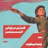 کتاب گزارش سرخ و آبی آمیب سبز | انتشارات هیرمند