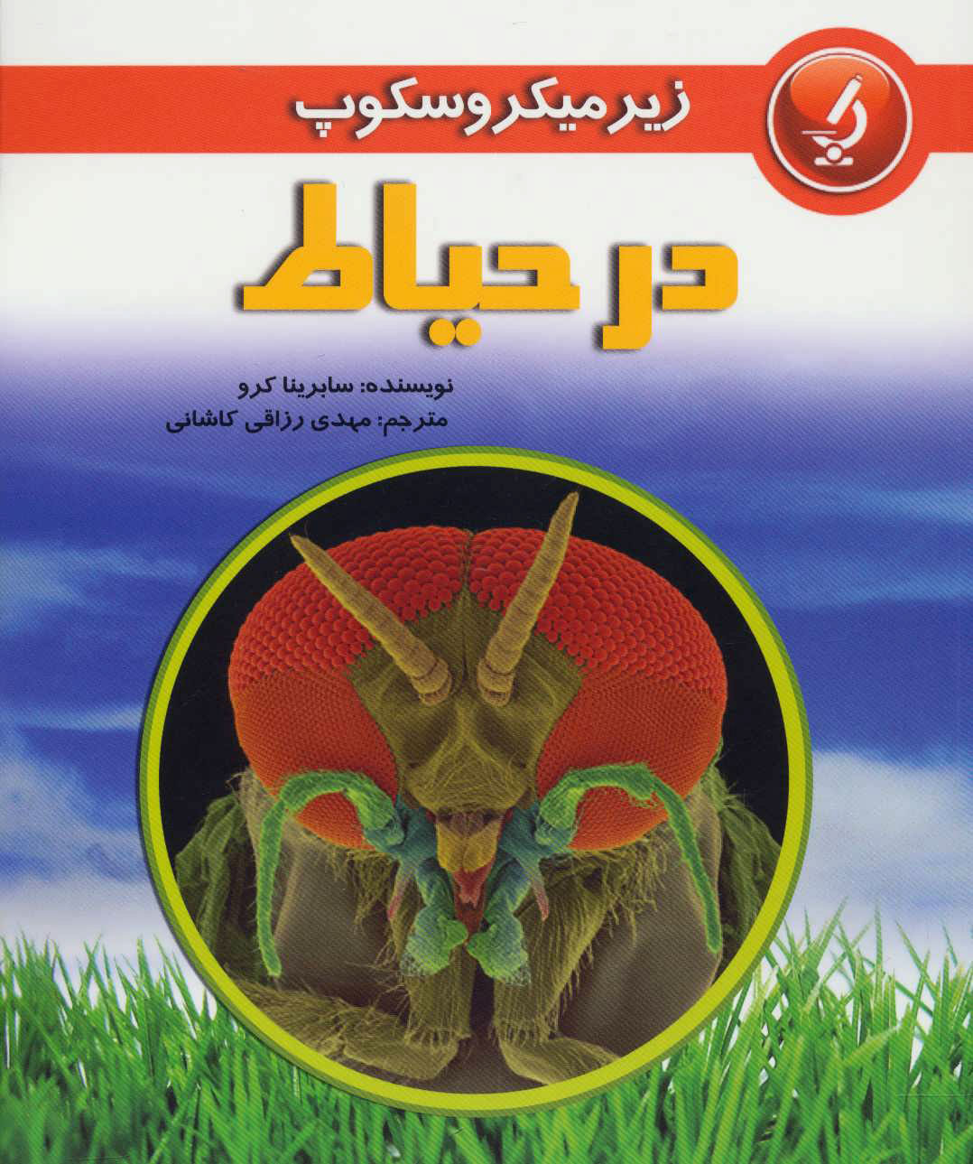 کتاب در حیاط | انتشارات به نشر