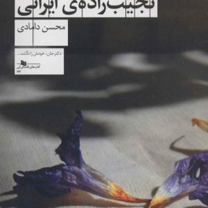 کتاب افسانه ی یک نجیب زاده ی ایرانی | انتشارات نشر چشمه