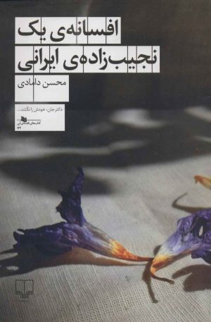 کتاب افسانه ی یک نجیب زاده ی ایرانی | انتشارات نشر چشمه