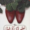 کتاب نعلین های آلبالویی | انتشارات شهرستان ادب