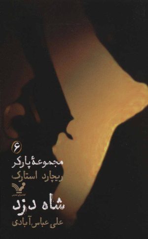 کتاب شاه دزد | انتشارات کتابسرای تندیس